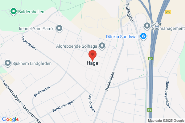 Hagaskolan