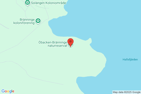 Lönnberg Hermon, Elisabeth