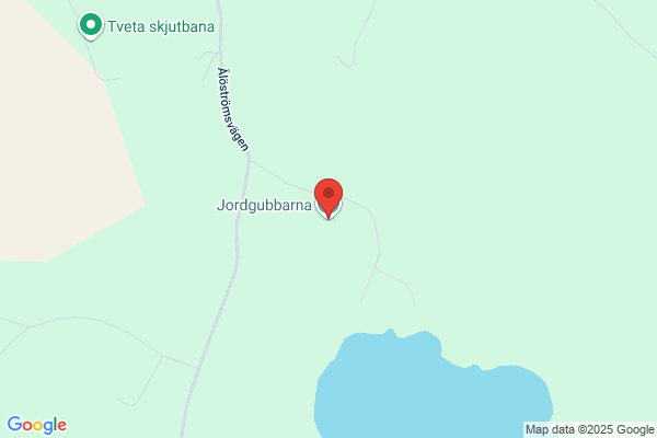 Jordgubbarna