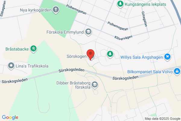 Behandlingshemmet Insikten