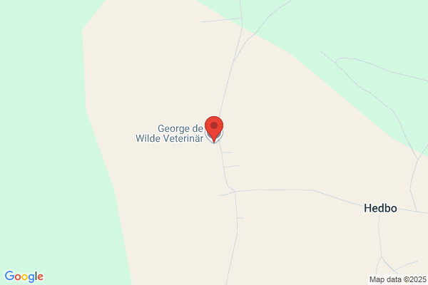 George de Wilde