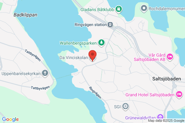 Da Vinciskolan