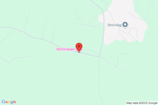 Storsjöbagarn