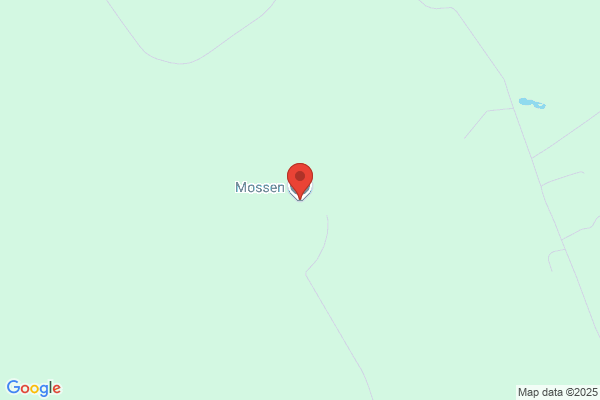 Mossens omsorgsteam (Hemtjänst/Hemsjukvård)