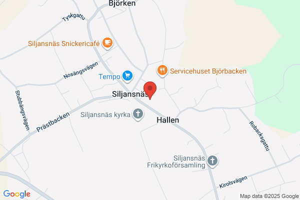 Skolan för Helhetsterapi/Neptunus Record & Förlag/Hälsostugan Siljansnäs