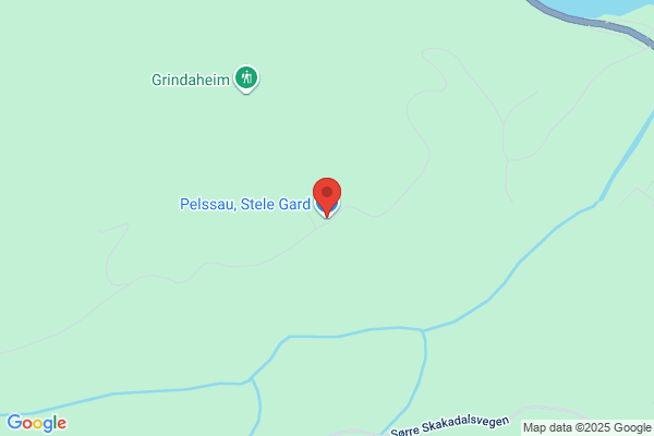 Pelles Skinn o. Läder