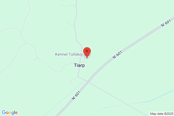 Tolarps Hundpensionat