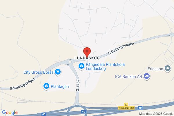 Jonsson i Lundaskog