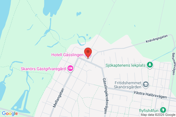 Hotell Gässlingen/Svenska Möten
