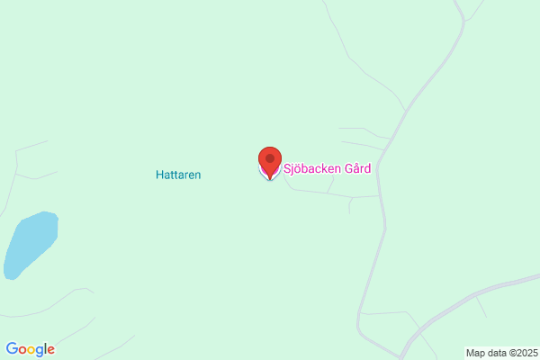 Villig, Jan