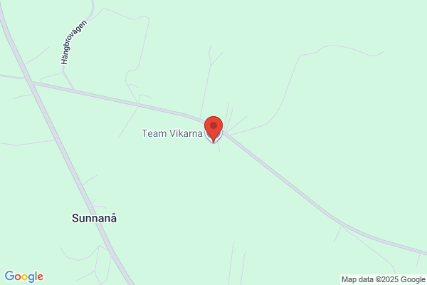 Team Vikarna