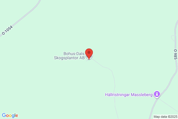Bohus-Dals Skogsplantor