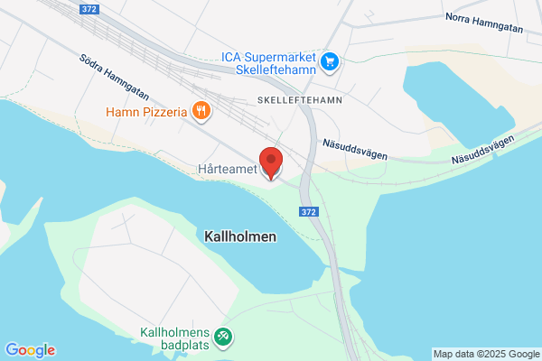 Hårteamet