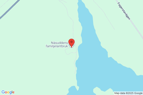 Näslund, Bo