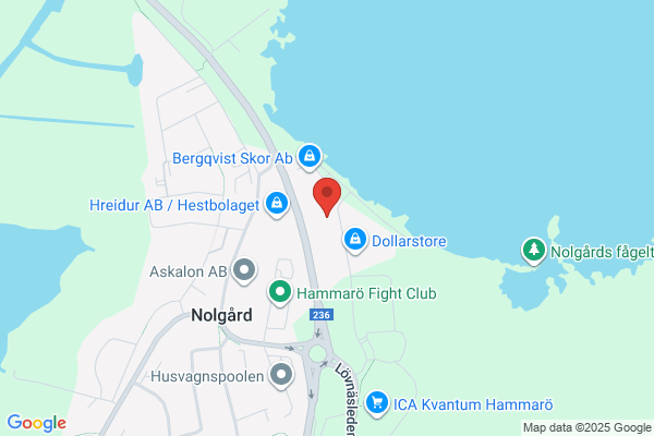 Bilverkstad I Hammarö AB