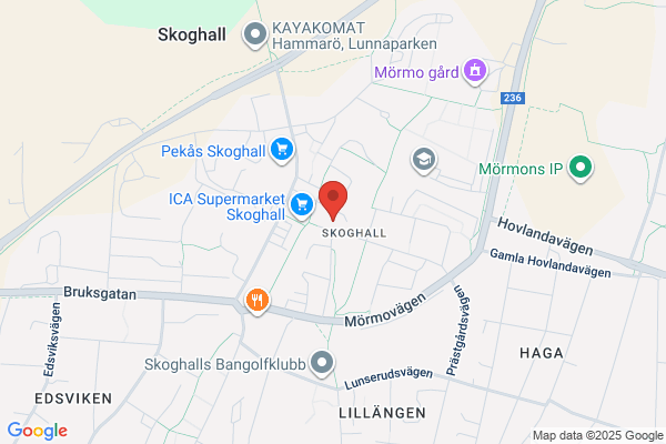 Continental Skoghall