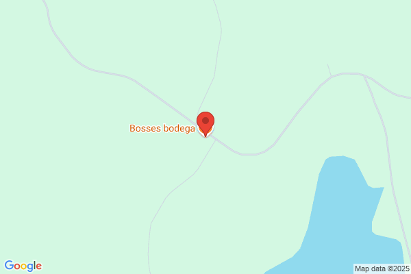 Bosse Bärgare