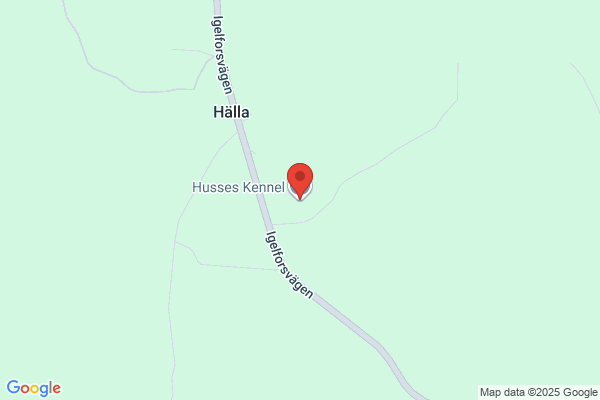 Kennel Hausse