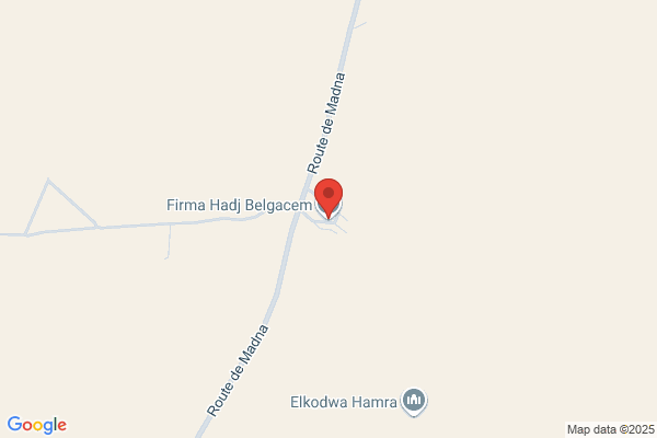 Ben Hadj Belgacem, Habib