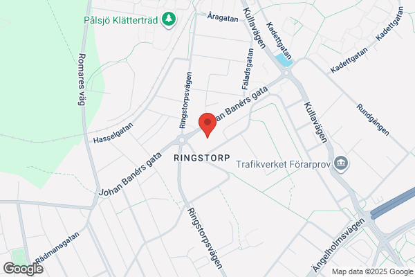 Kamelia Fruängens Blomsterhandel