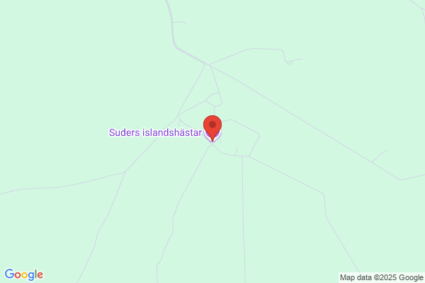 Suders islandshästar