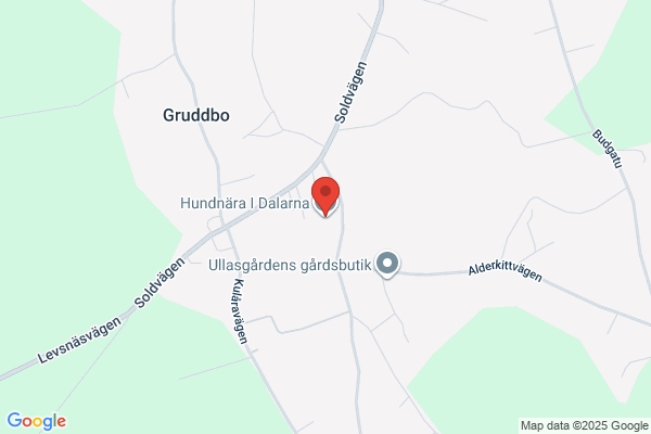 Hundnära i Dalarna