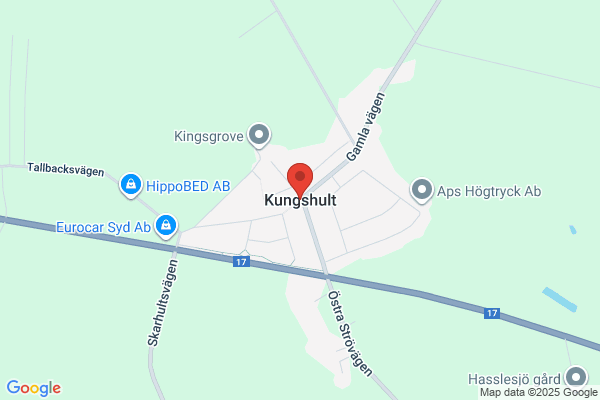 St Kungshult Häst