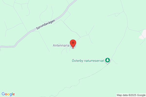 ANTENNARIA