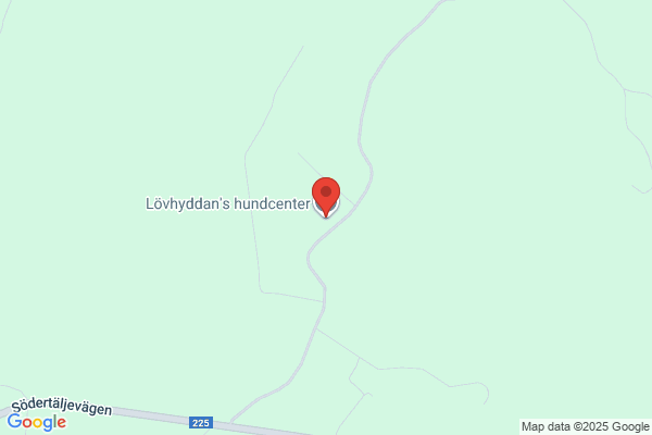 Lövhyddans Hundcenter & Alltjänst