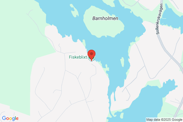 Fiskeblixt