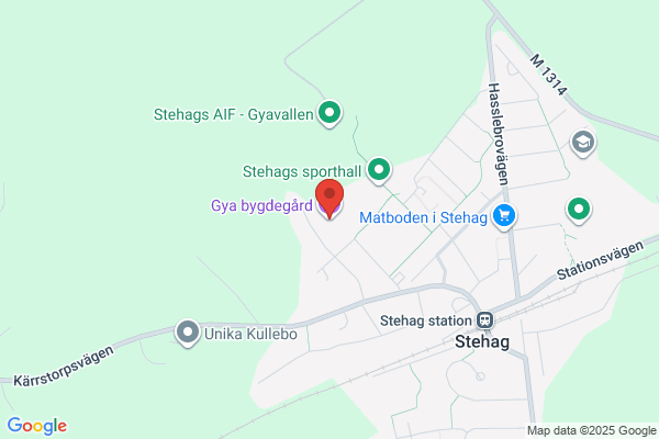 Gya Livs i Stehag