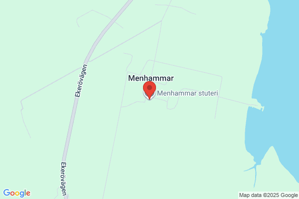 Menhammar Stuteri AB