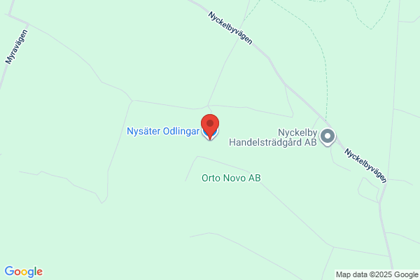 Ny-Säter Odlingar AB