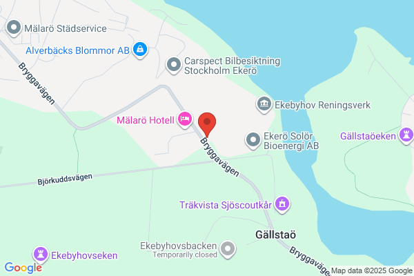 Olsson Agenturer AB, Larserik