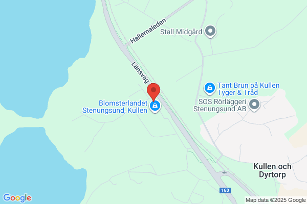 Jockes Kaminer & Skorstenar