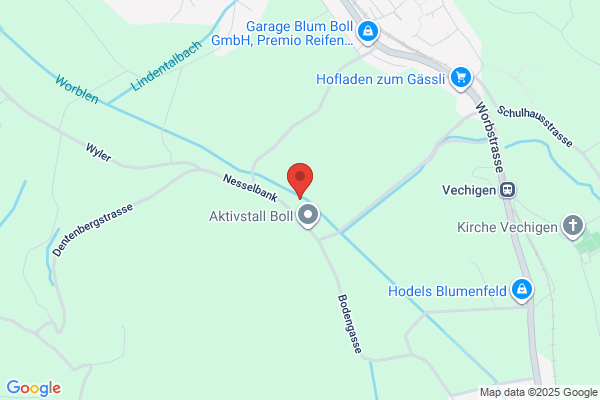 Hogsängens Gräv