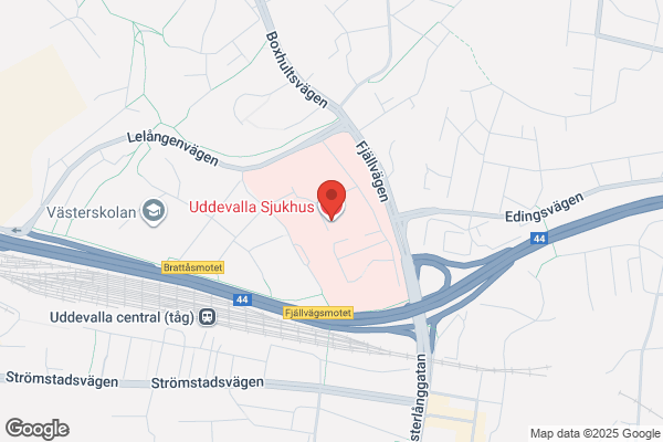 Udevalla sjukhus (Sjukhus)