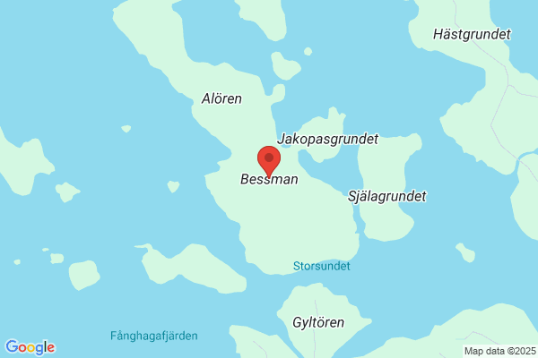Bessman IT- o. Friskvårdskonsult