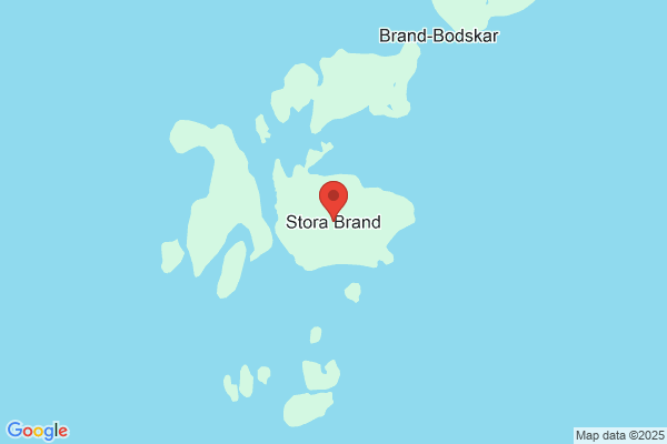 Stora Höga Trä