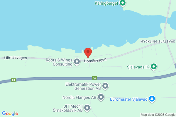 Traneus Fastighetsbesiktningar