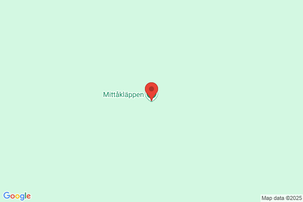 Mälardalens Matt-tvätt