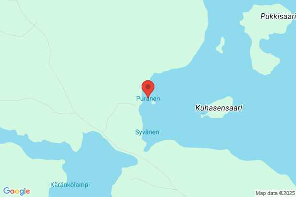 Puranen, Timo