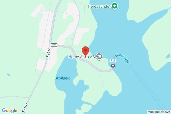 Herman Larson Service