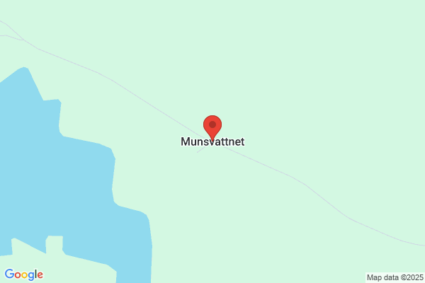 Munsvattnets Skogsdrivningar AB