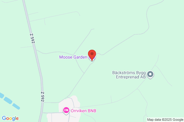 My Moose i Jamtland