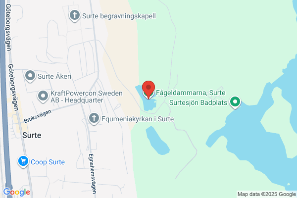 Danaplatsen