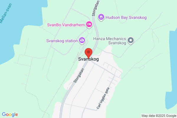 Svanskog