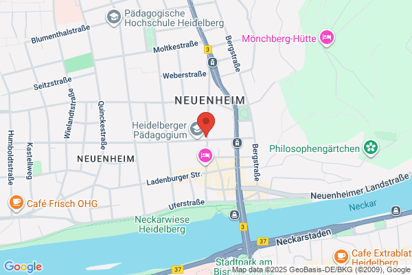 Endorfinen