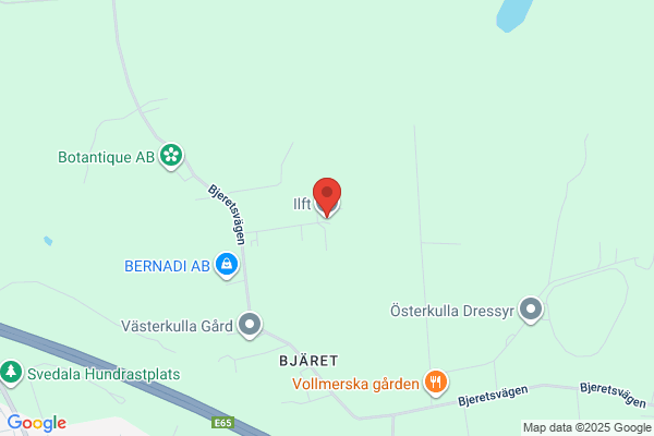 Skyfly Hunduppfödning och Foto