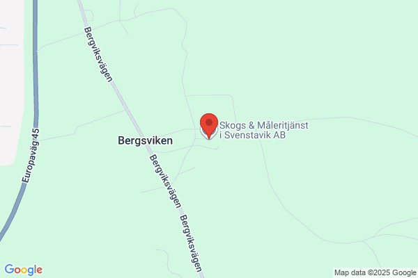 Bo Holmqvist Skogsentreprenad AB